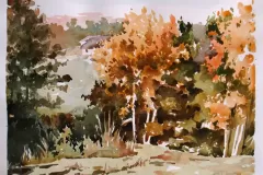 Goruce-jasike-30x40cm-akvarel-2024