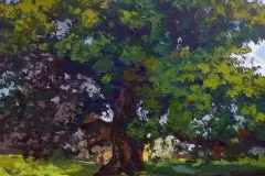 Veliki-hrast-100x100cm-ulje-na-platnu-2023
