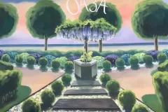 Oaza-009
